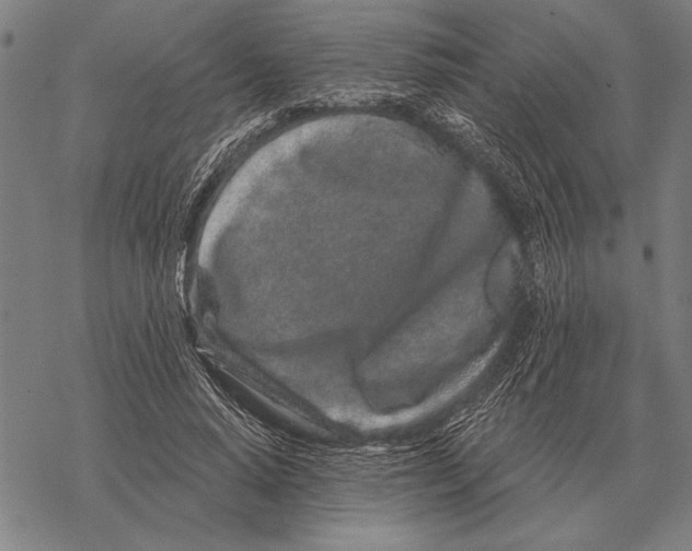 X0000068270640200605191829