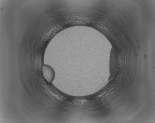 X0000068270642200605191829