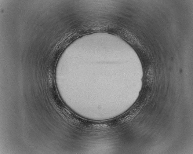 X0000068270644200605191829