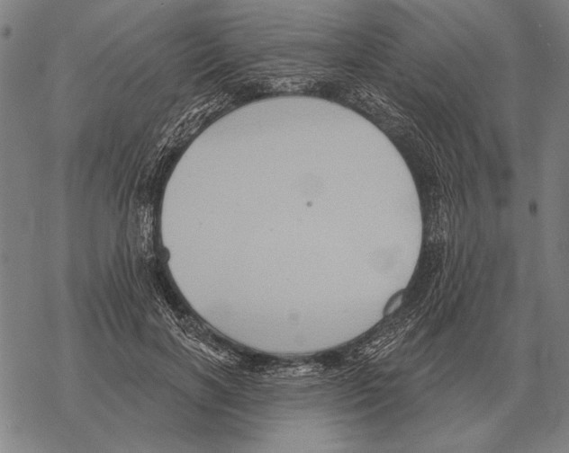 X0000068270646200605191829