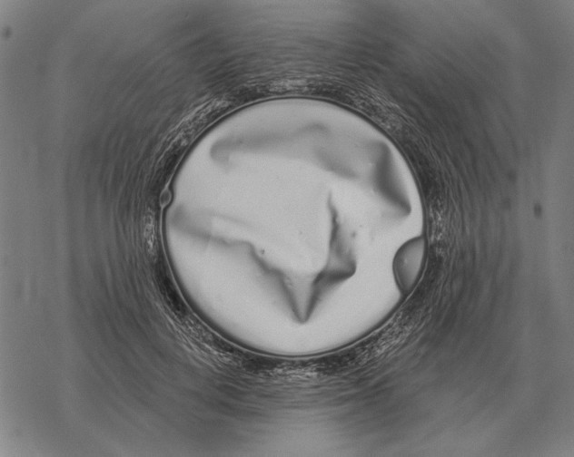 X0000068270648200605191829