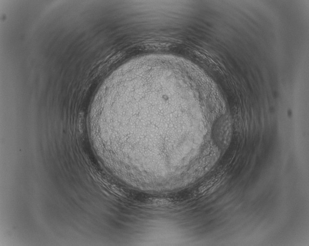 X0000068270649200605191829