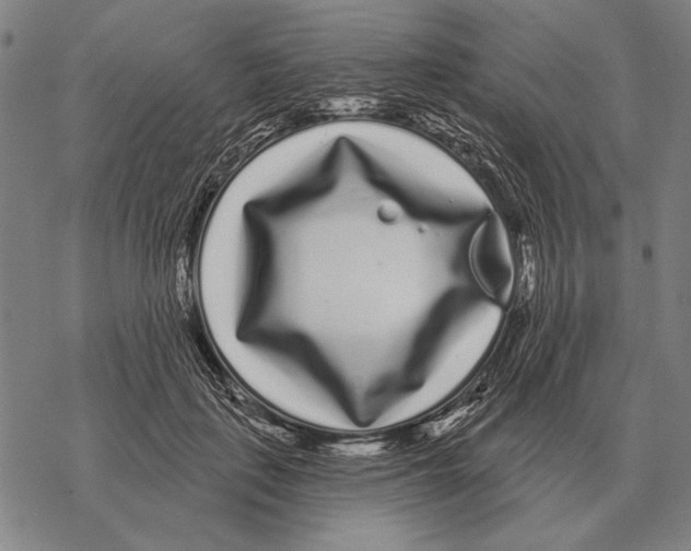 X0000068270651200605191829