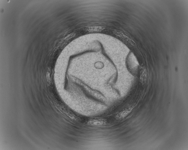 X0000068270655200605191829