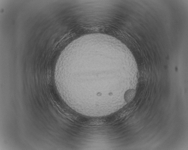 X0000068270656200605191829