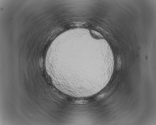 X0000068270657200605191829