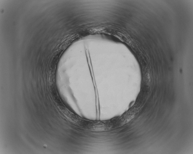 X0000068270658200605191829