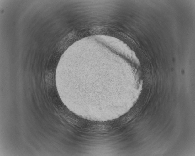 X0000068270659200605191829