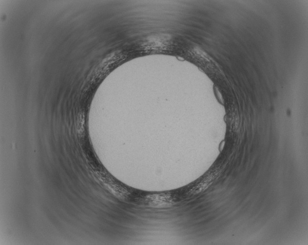 X0000068270660200605191829