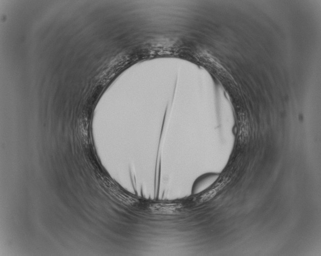 X0000068270661200605191829