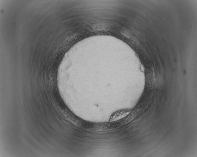 X0000068270662200605191829