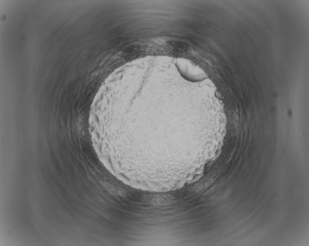 X0000068270663200605191829