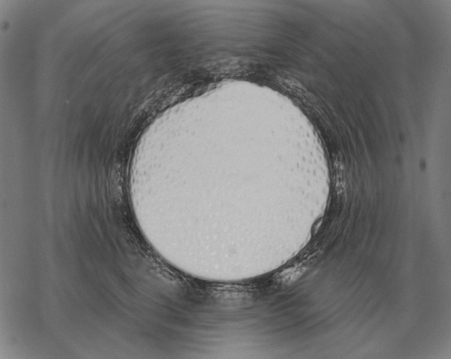 X0000068270664200605191829