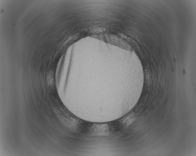 X0000068270665200605191829