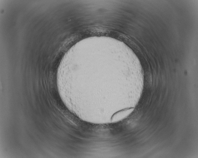 X0000068270668200605191829