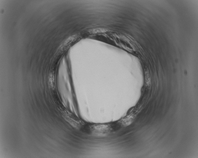 X0000068270669200605191829