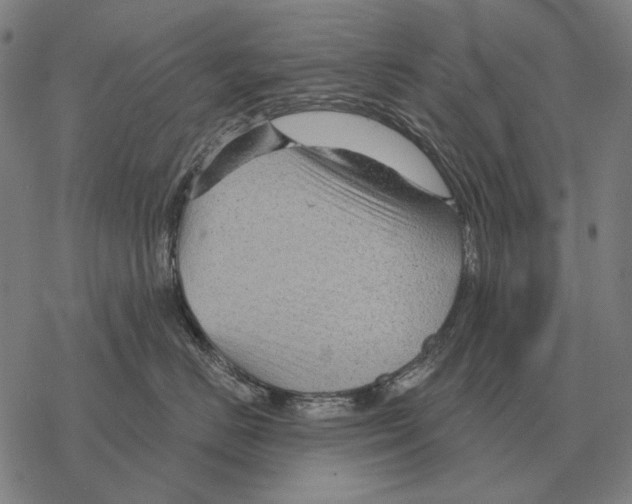 X0000068270670200605191829