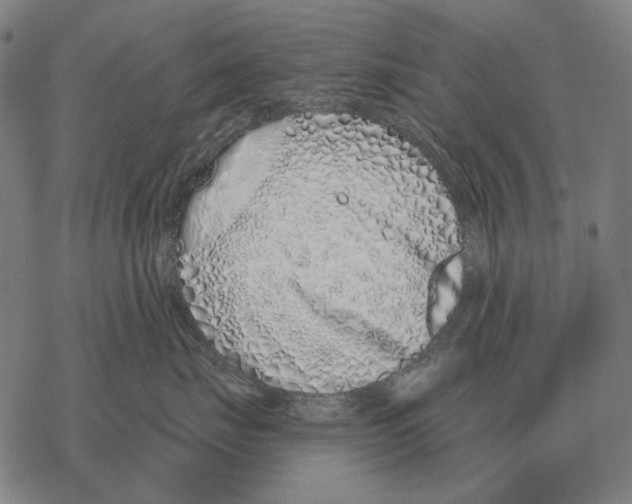 X0000068270671200605191829