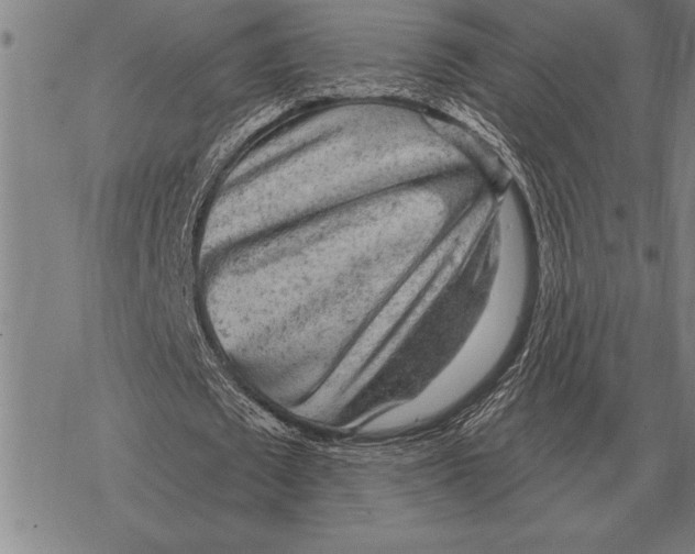 X0000068270673200605191828