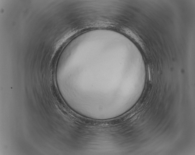 X0000068270675200605191828