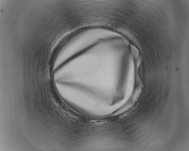 X0000068270676200605191828