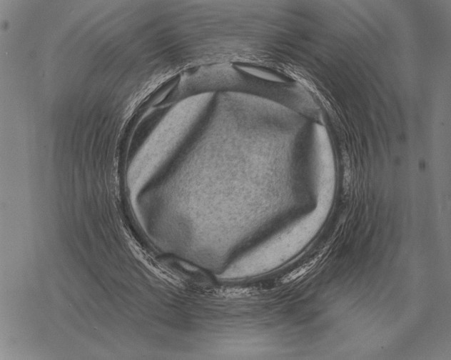 X0000068270677200605191828