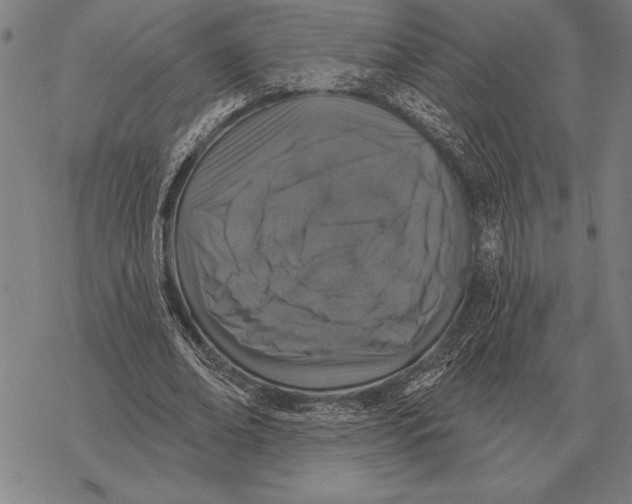 X0000068270678200605191828