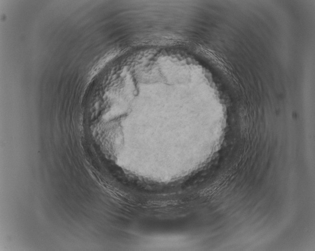 X0000068270679200605191828