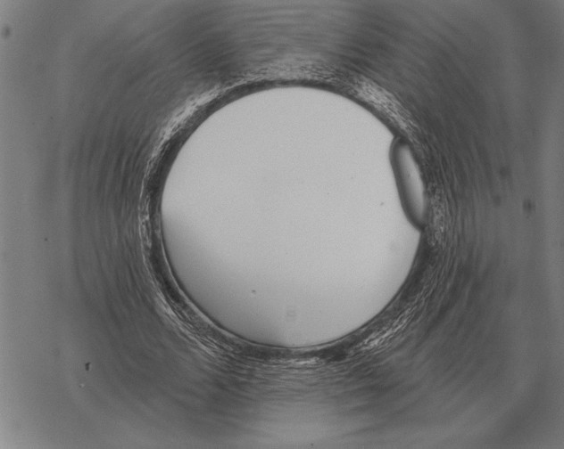 X0000068270680200605191828