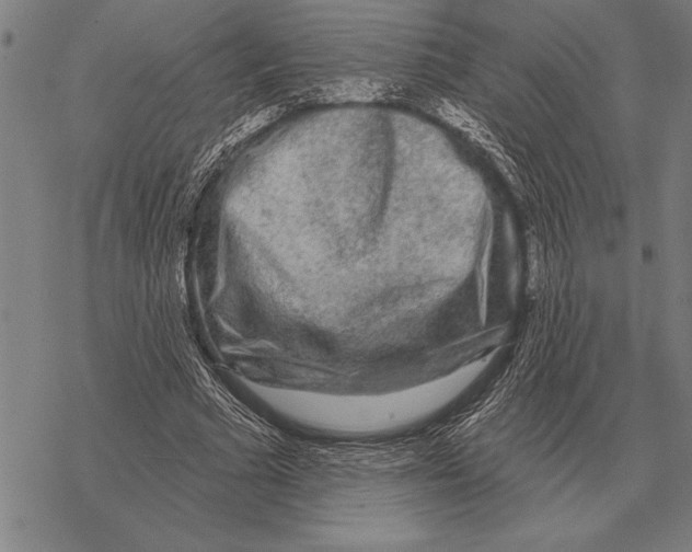 X0000068270681200605191828