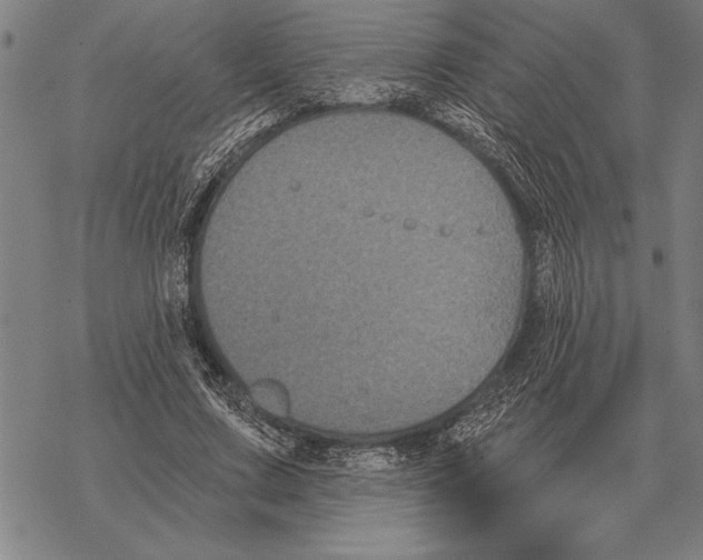 X0000068270683200605191828