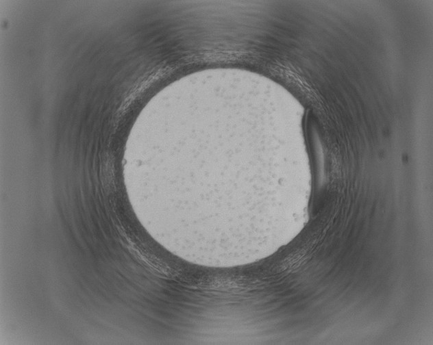 X0000068270684200605191828