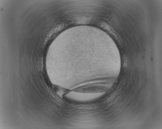 X0000068270685200605191828