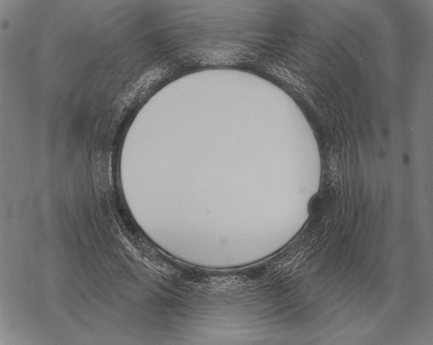 X0000068270686200605191828