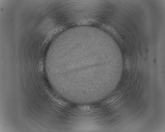 X0000068270687200605191828