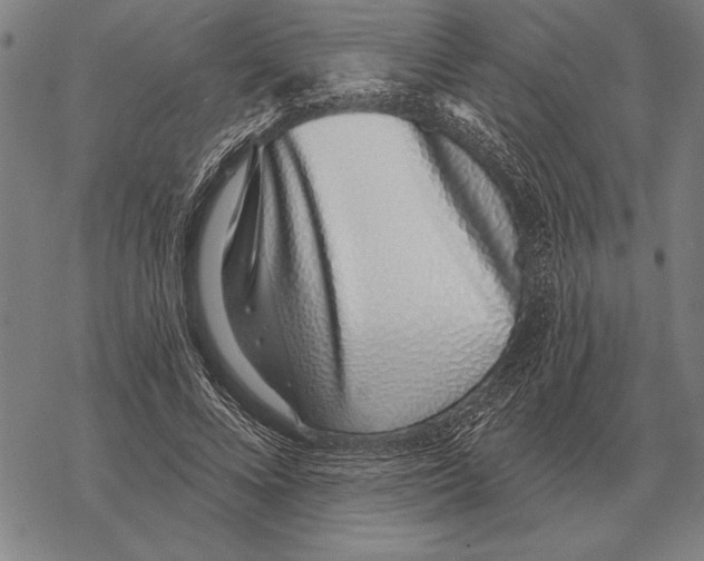 X0000068270688200605191828