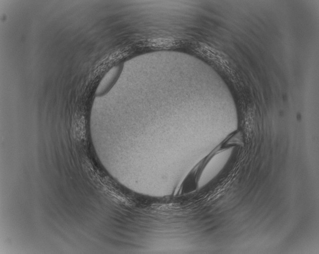 X0000068270689200605191828