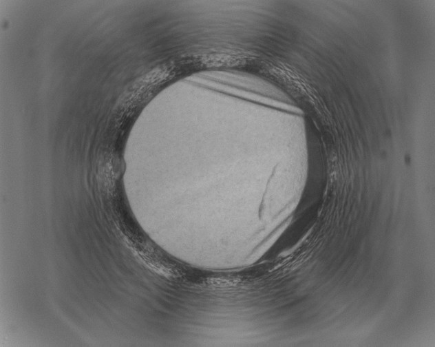 X0000068270690200605191828