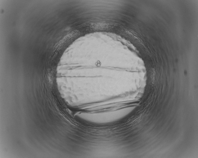 X0000068270691200605191828