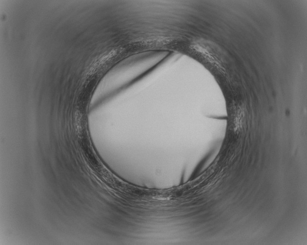 X0000068270692200605191828