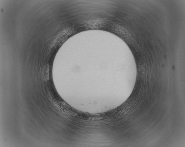 X0000068270694200605191828