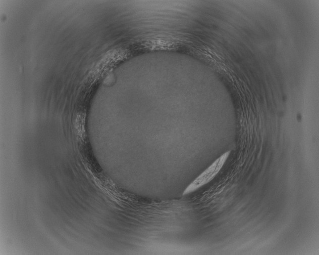 X0000068270695200605191828