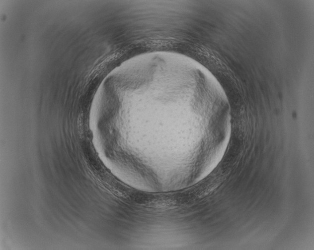 X0000068270696200605191828