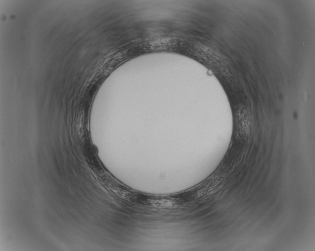 X0000068270698200605191828