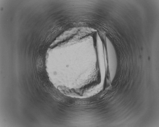 X0000068270699200605191828