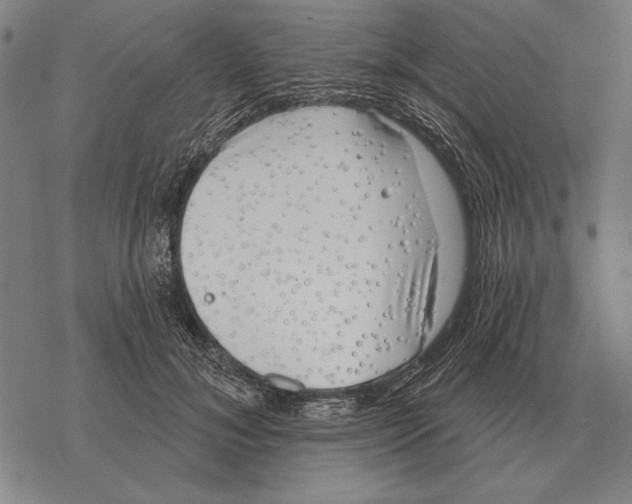 X0000068270700200605191828