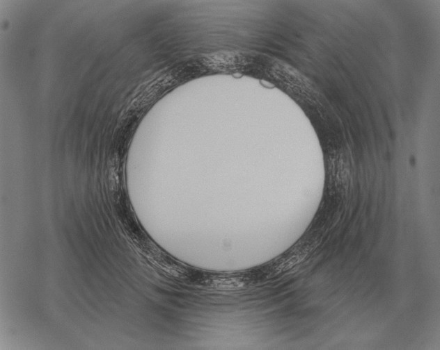 X0000068270702200605191828