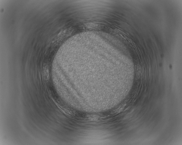 X0000068270703200605191828