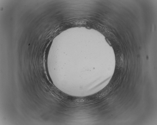 X0000068270704200605191828