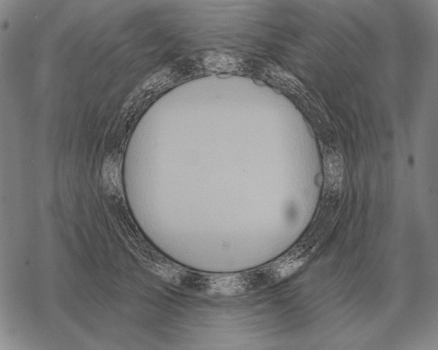 X0000068270705200605191828